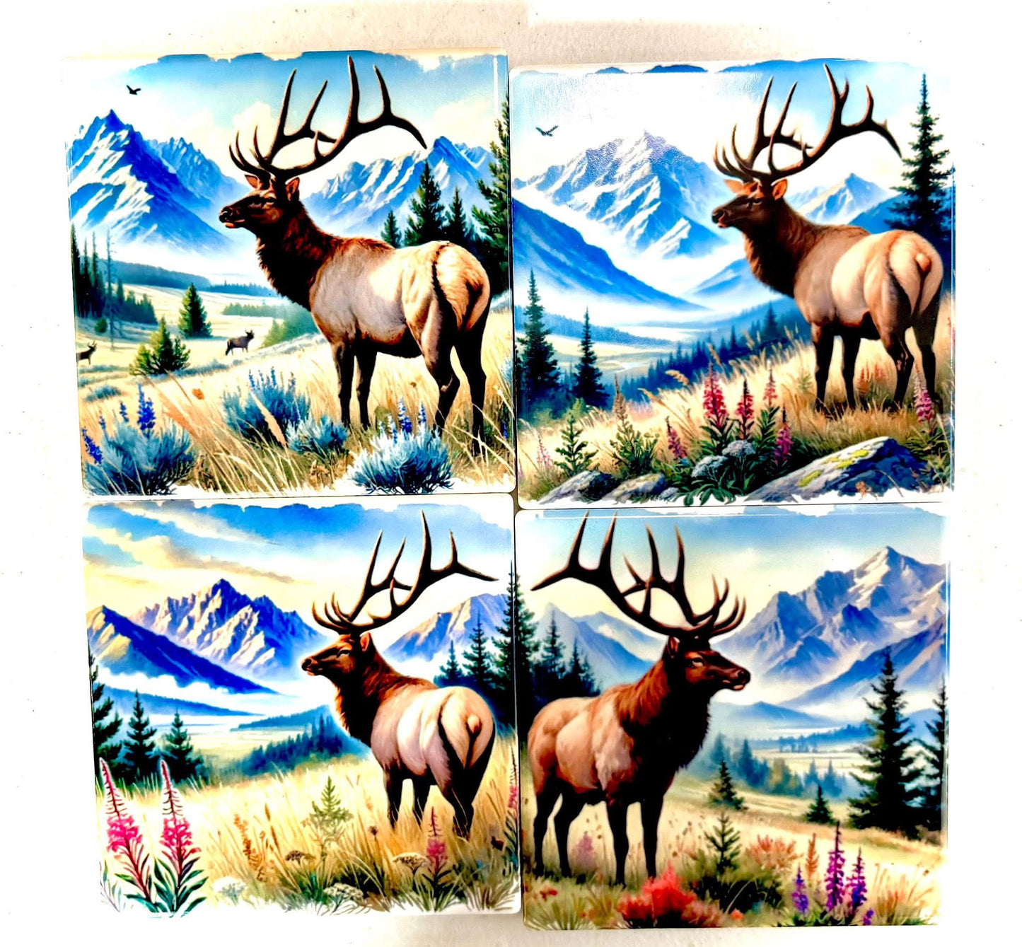 Coasters 4/pk - ELK