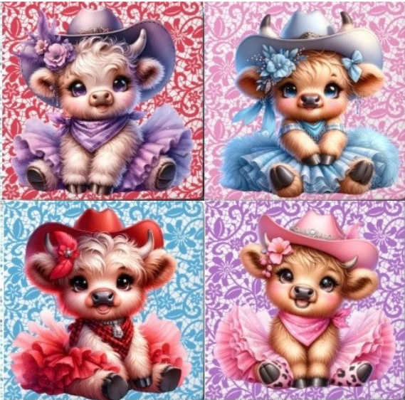 Coasters 4/pk - HIGHLAND COW TUTU