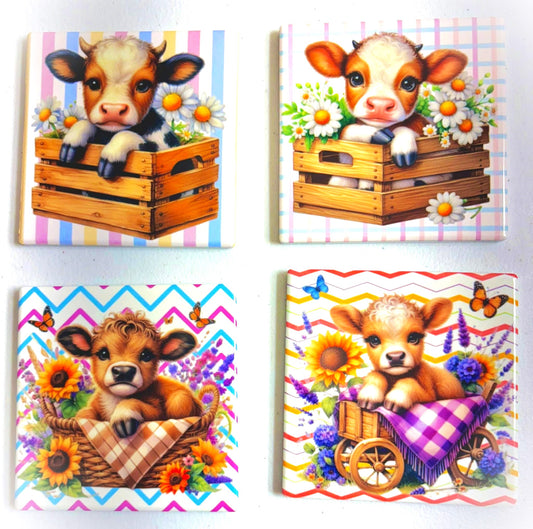 Coasters 4/pk - Highland Cow