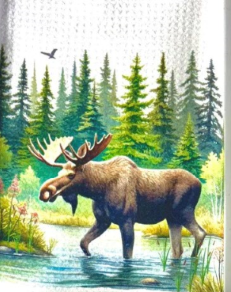 Towels -  Moose