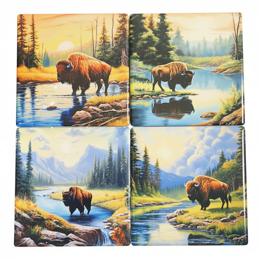 Coasters 4/pk - BUFFALO