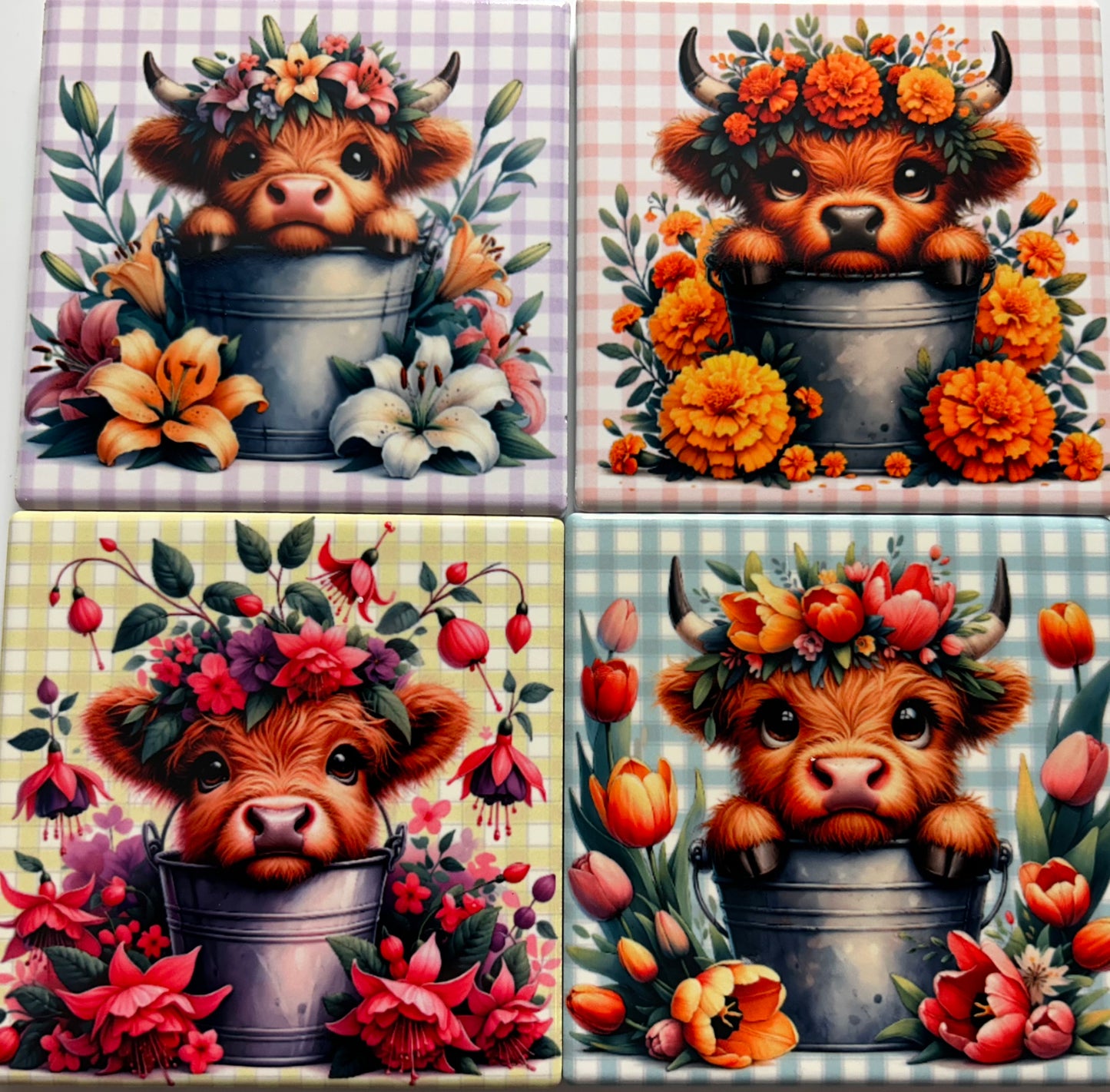 Coasters 4/pk - HIGHLAND COW